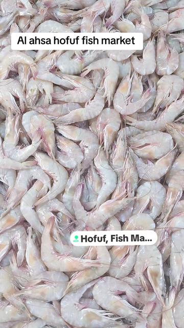 @Md Imran Hossian(সৌদি প্রবাসী)