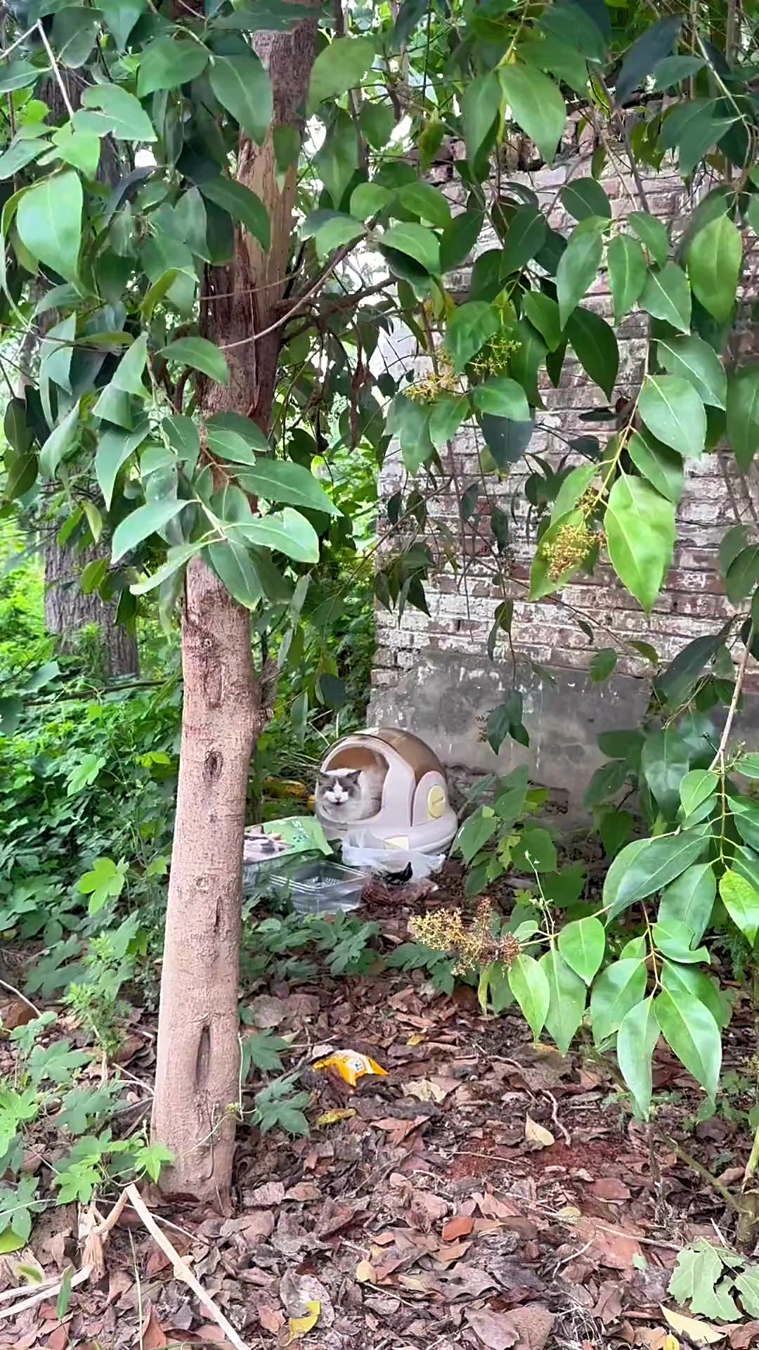 @🇲🇽MAYOREO QIHUO MÉXICO🇲🇽