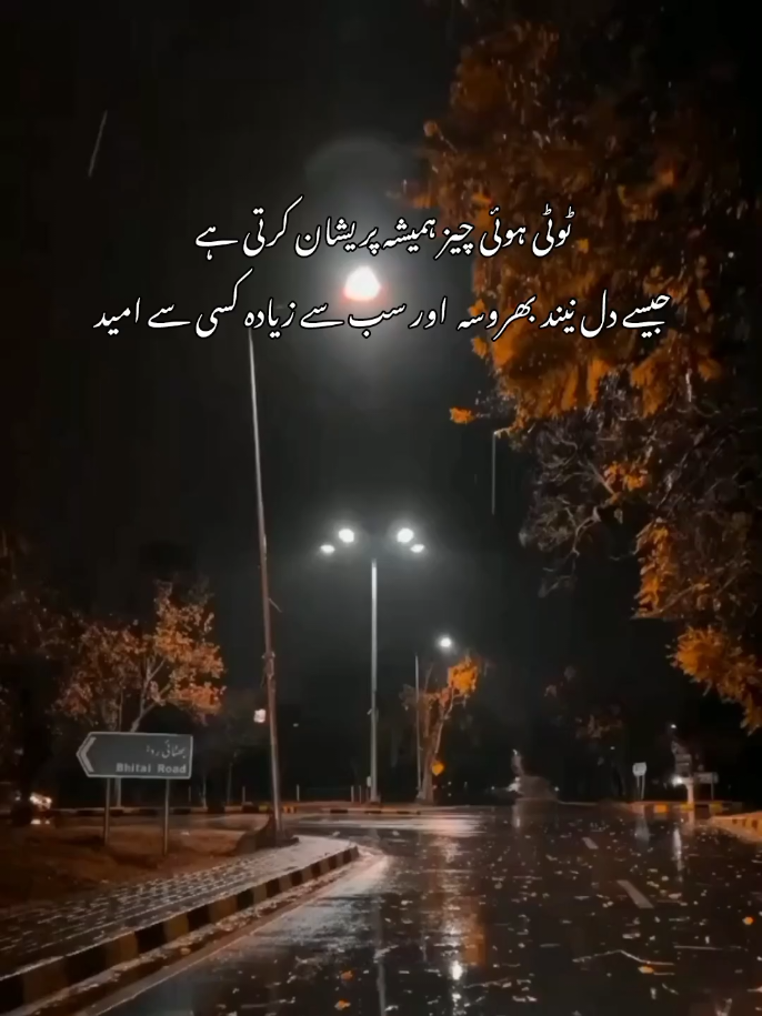 @Syed M Ali Shah✓