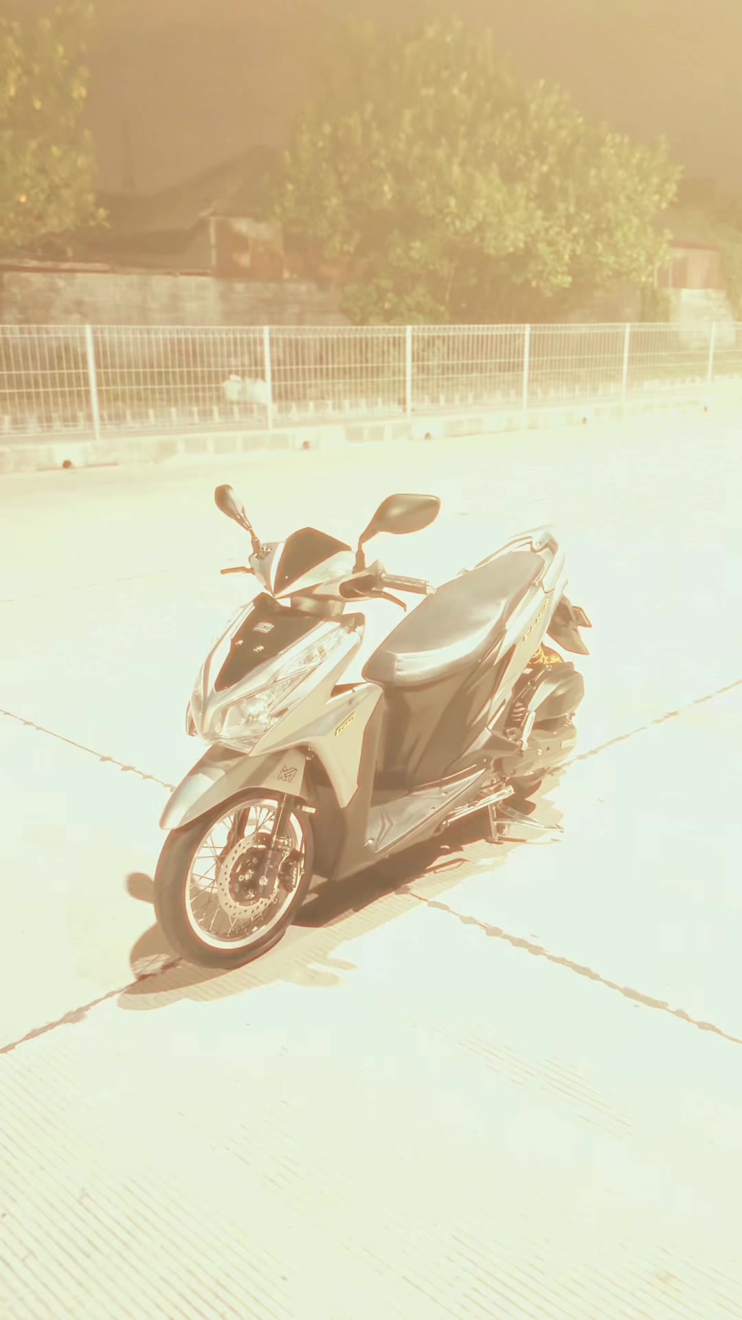 @snauporale
