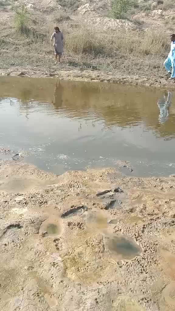 @HANEEF