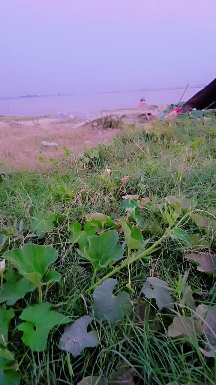 @Nadeem Akhtar
