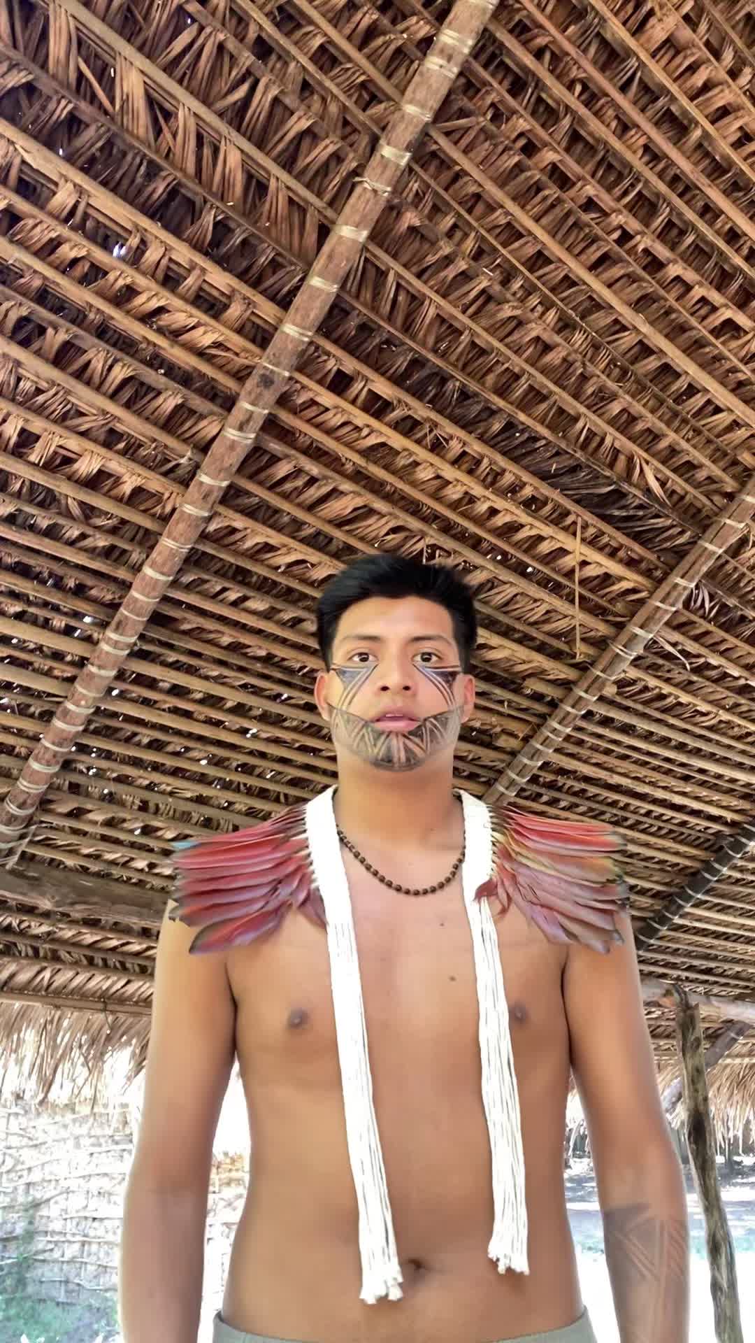 @Moisés Guajajara🏹