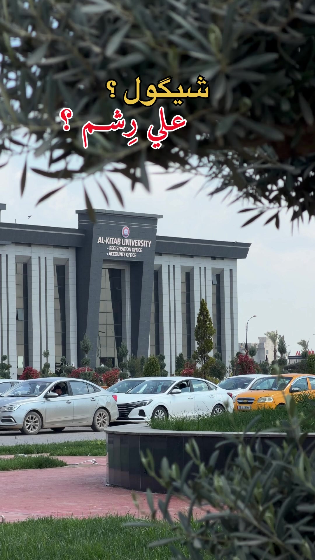 @اياد سلطان || Aiad Sultan