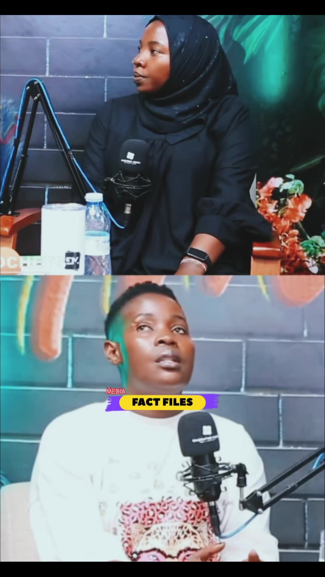 @FactFilesMedia