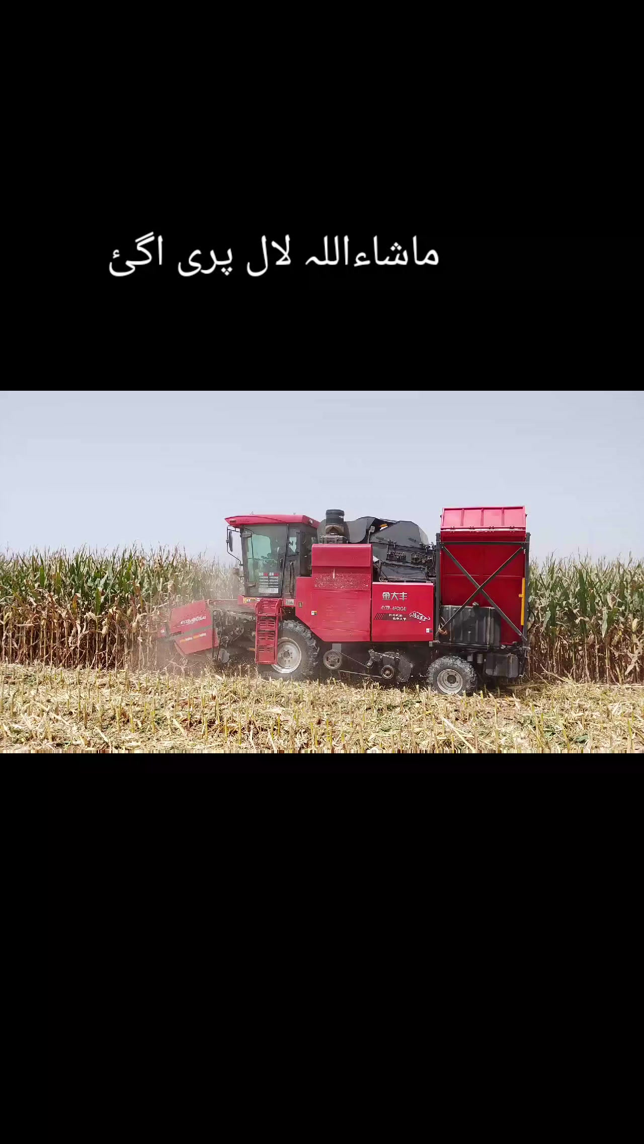 @💚 ذیشان ہنجرا 💚
