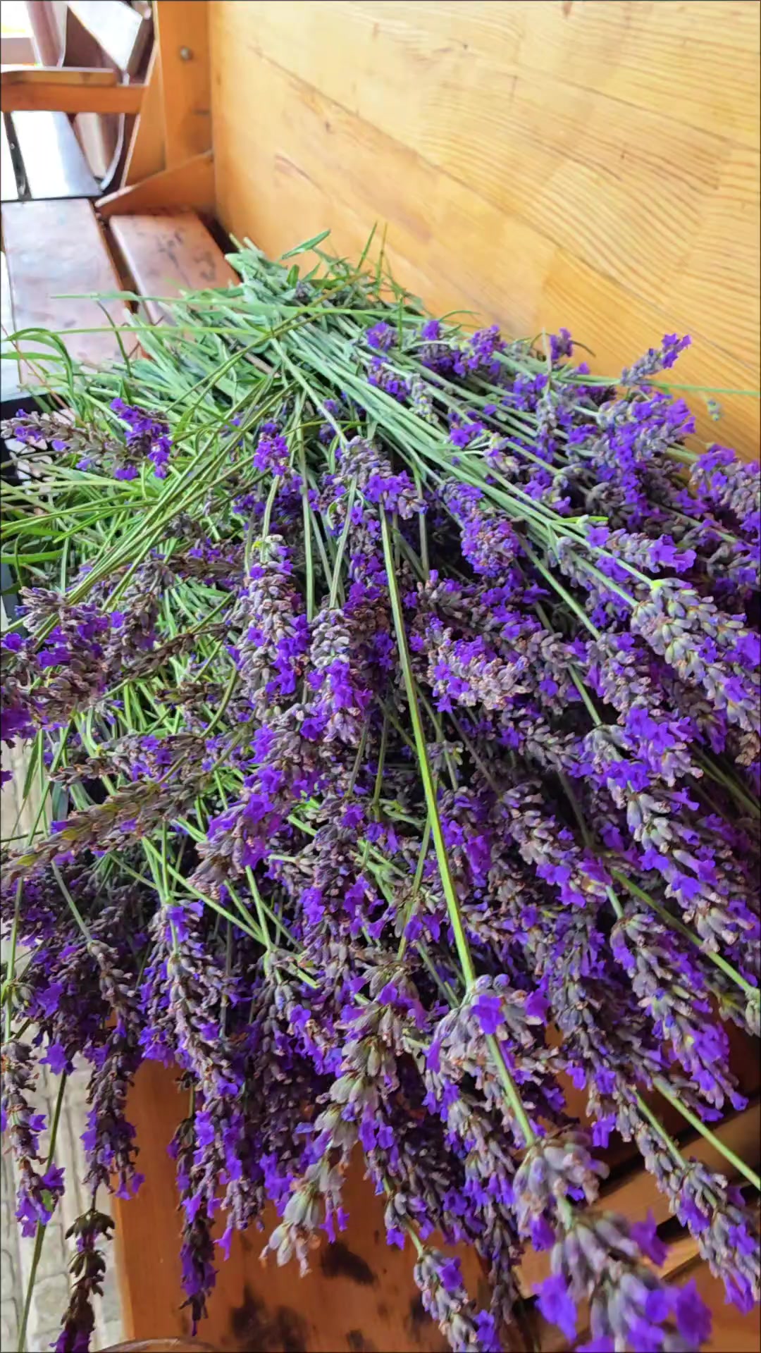 @Aria Lavender