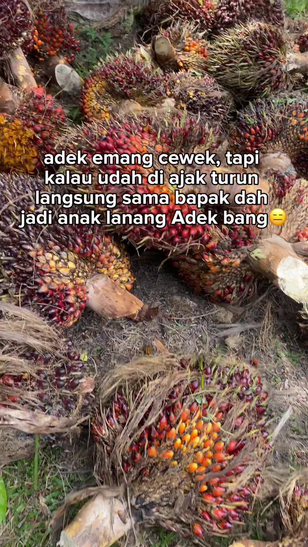 @Ayuu