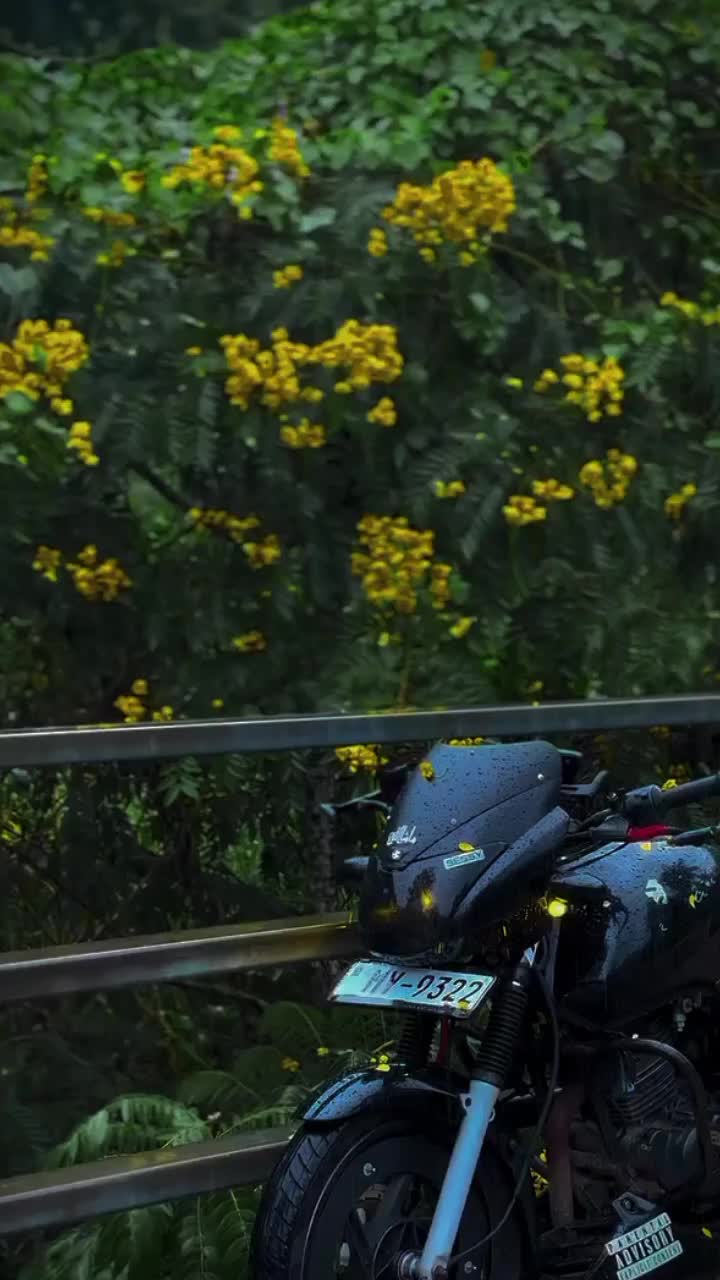 @๐ฅ๐ถ๐๐ต๐ต ๐ซ'