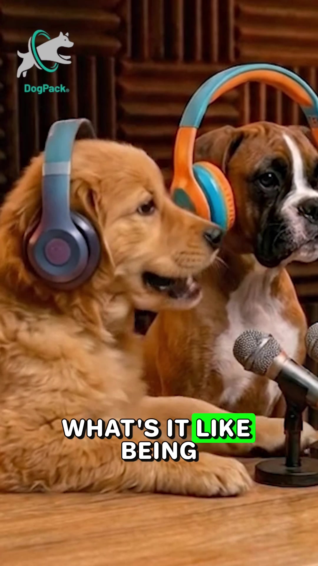 @DogPack