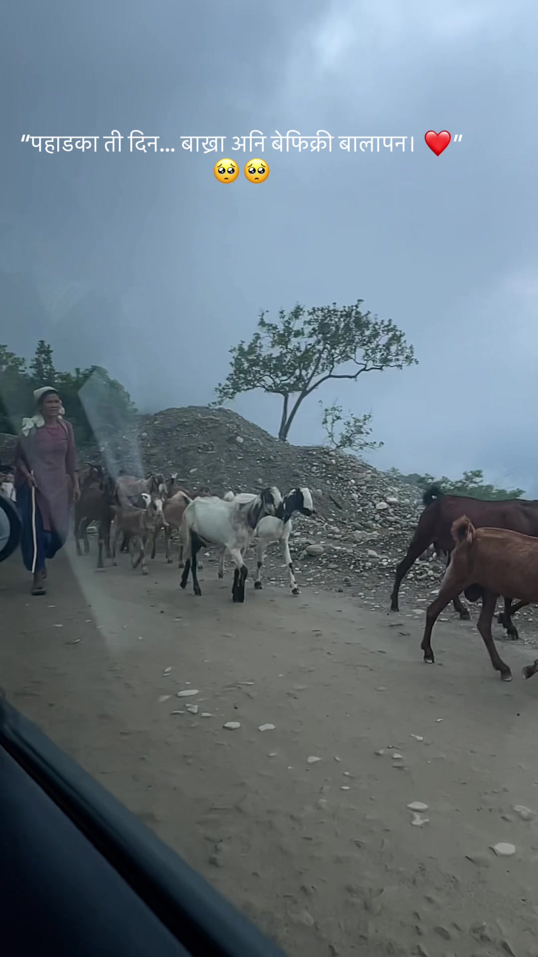 @Pushkar Malla thakuri