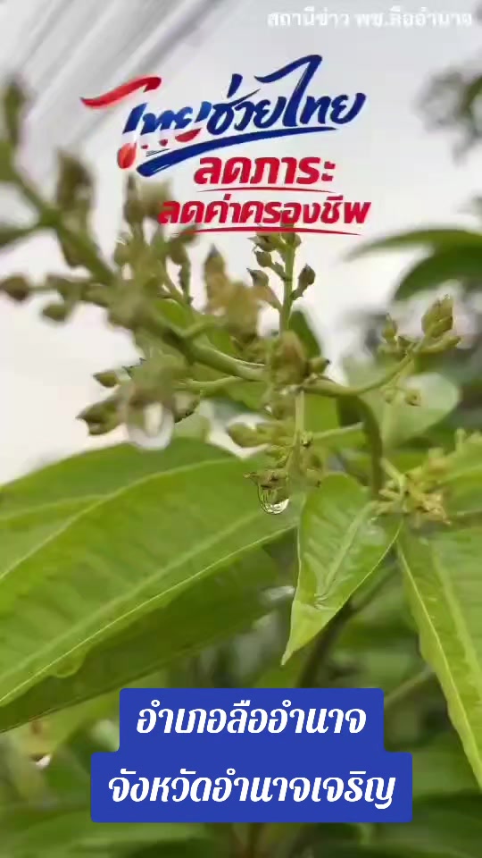 @ครอบครัวตัวกลมดิ๊ก