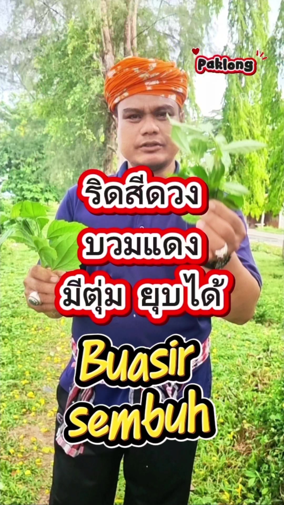 @Paklong Herb