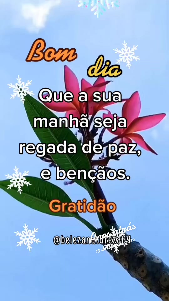 @belezanatureza64