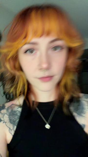 @faevvitch