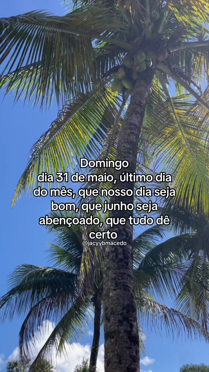 @jacybmacedo