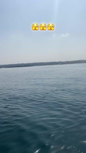 @Palm Beach DZ