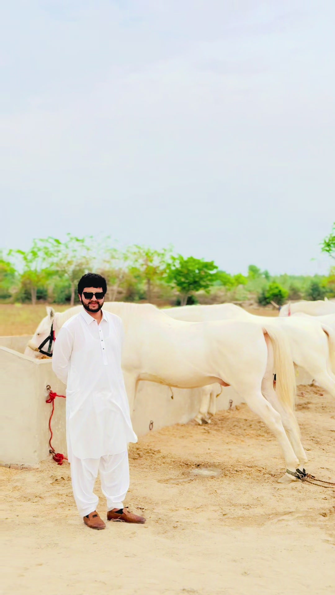 @Tanseer_Raza_Baloch_Adv⚖️