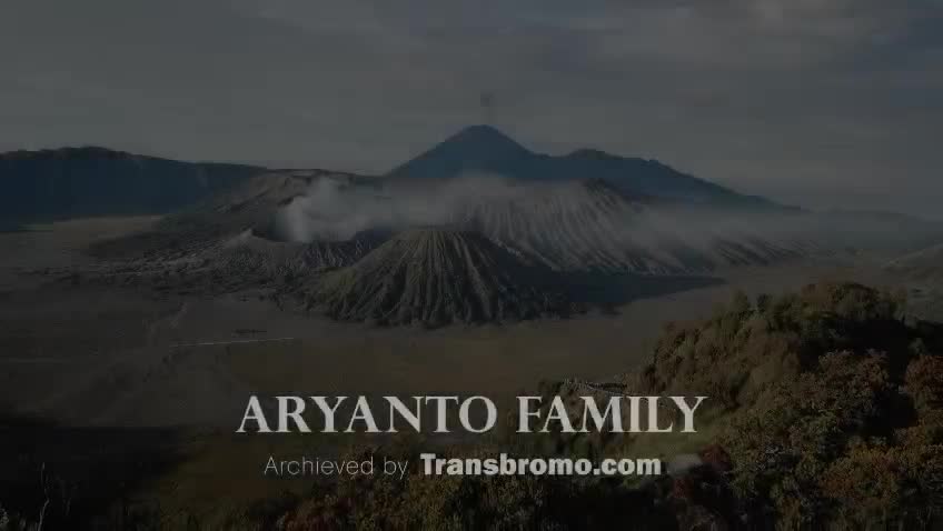 @transbromo