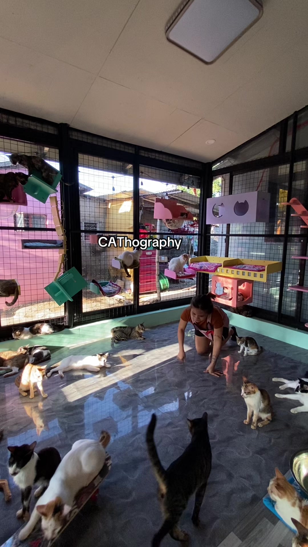 @CAThography