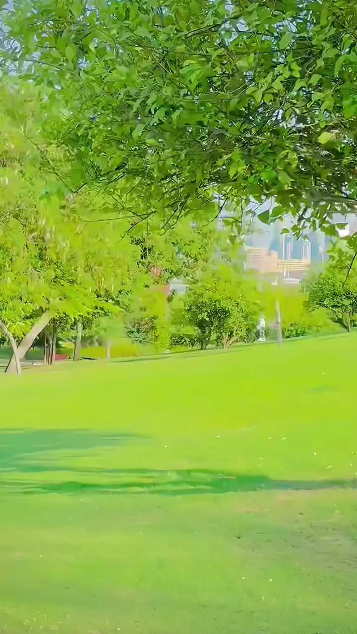 @🍁𝐒𝐡𝐚𝐧𝐢_نیازی🌸