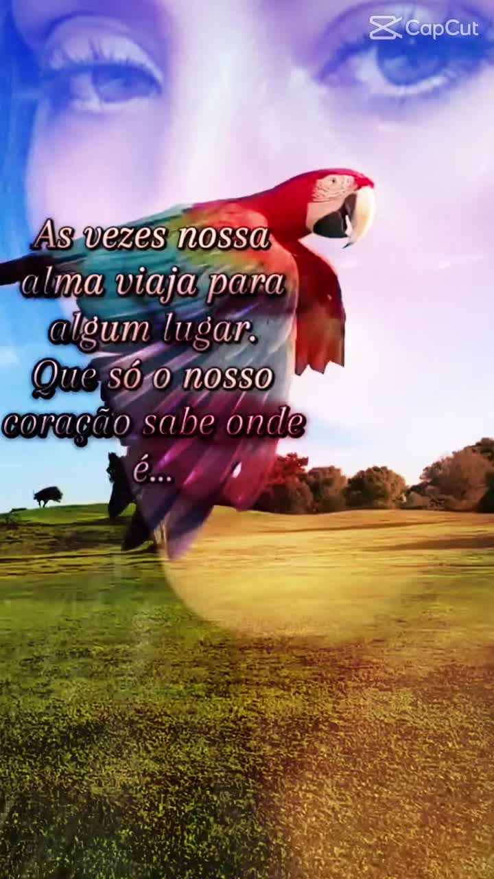 @giluz