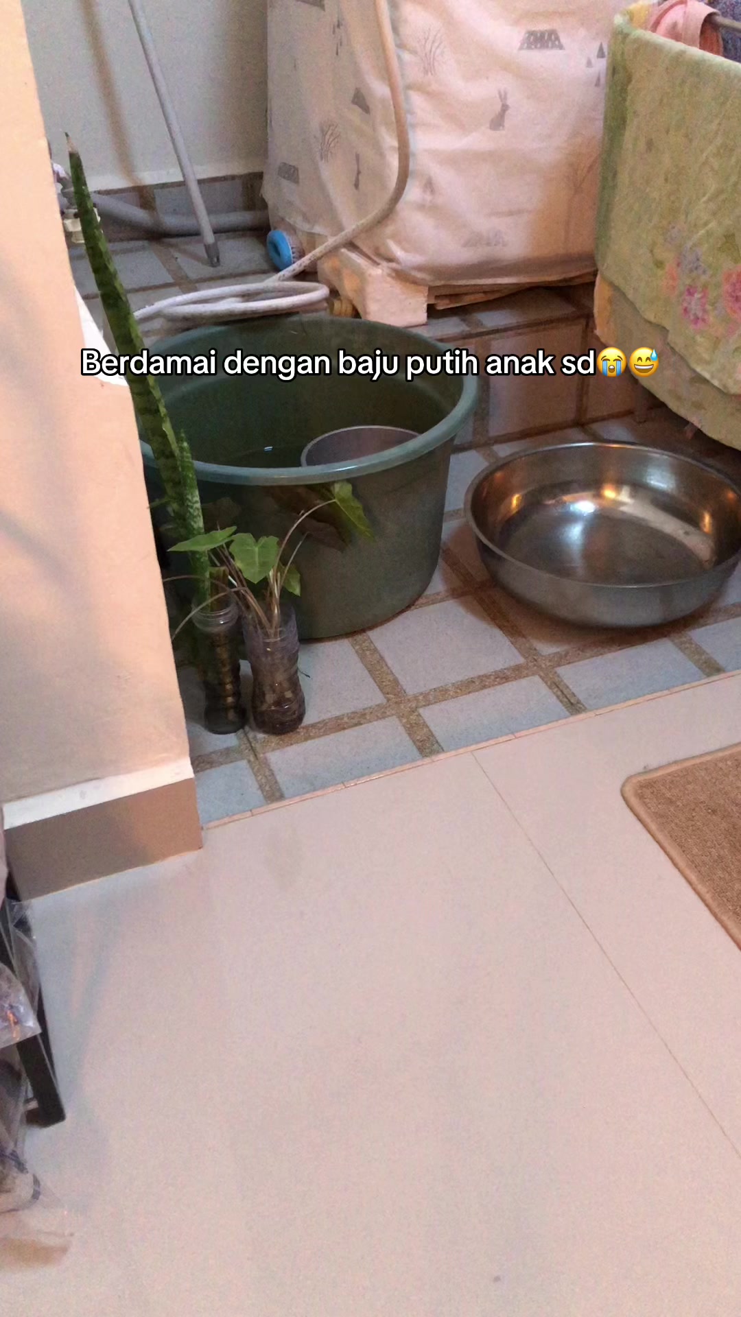 @Nuy