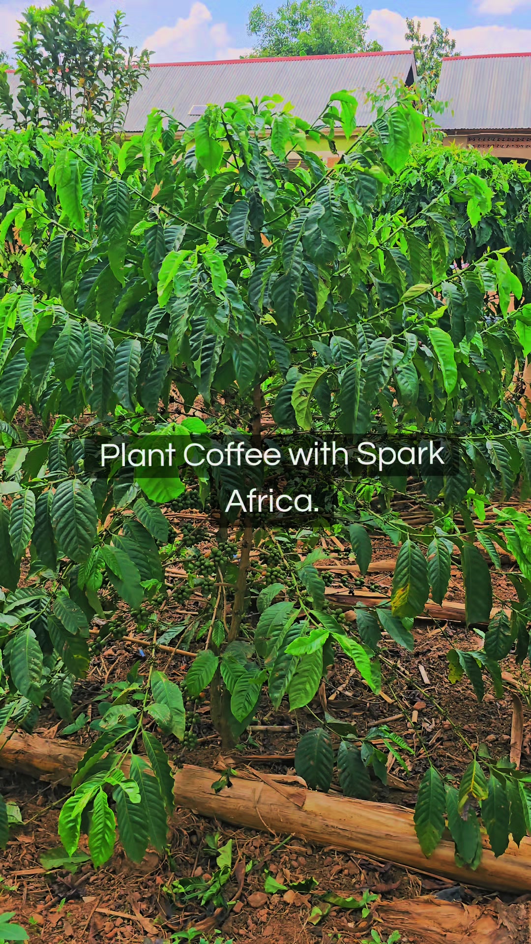 @SPARK AFRICA 1