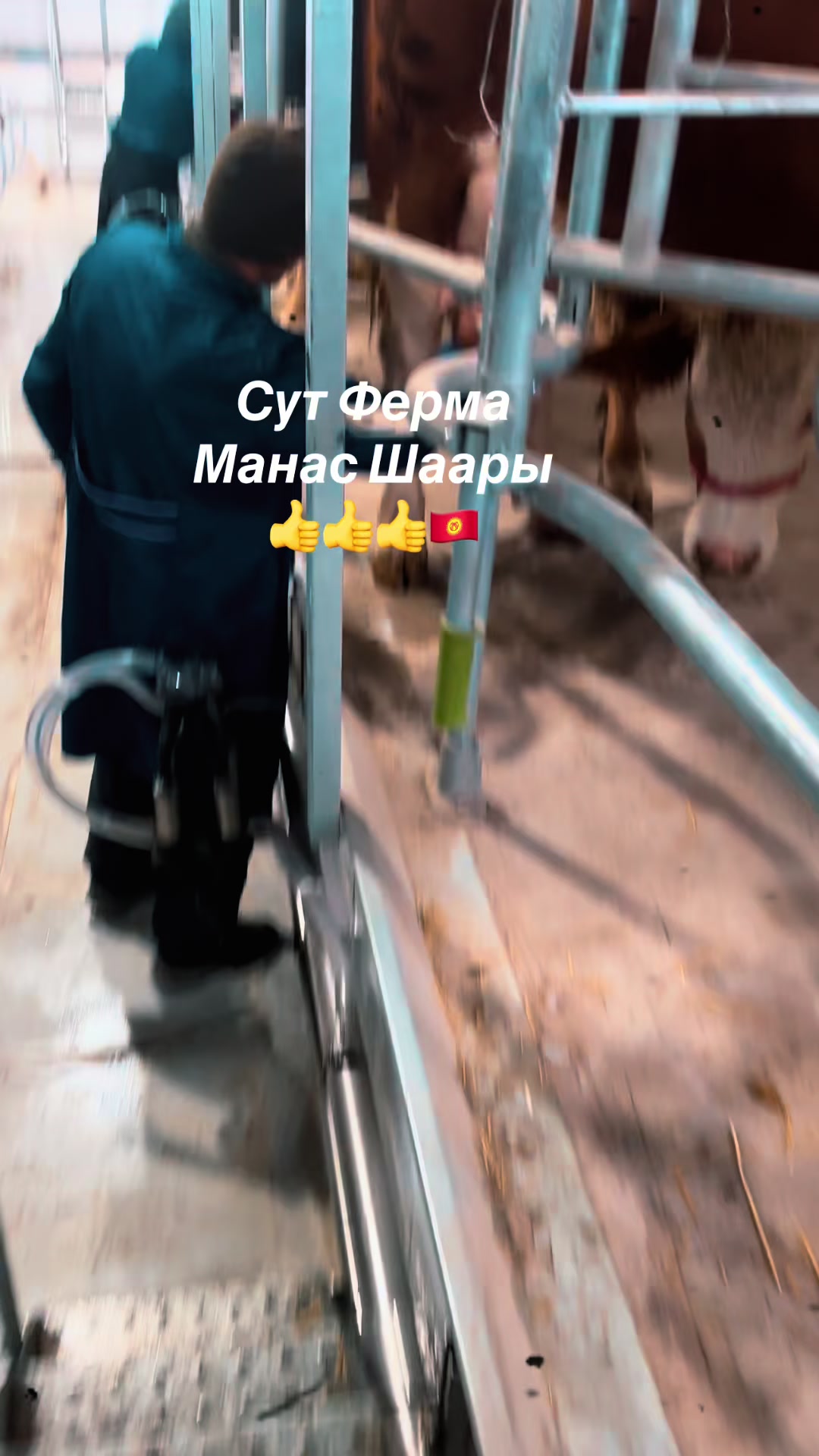 @BEKA НАРЫНСКИЙ