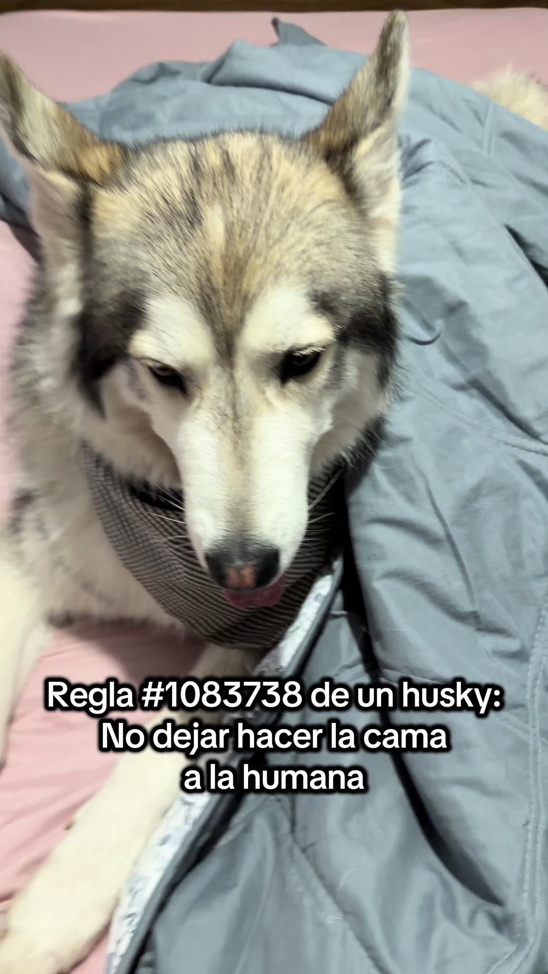 @KZ