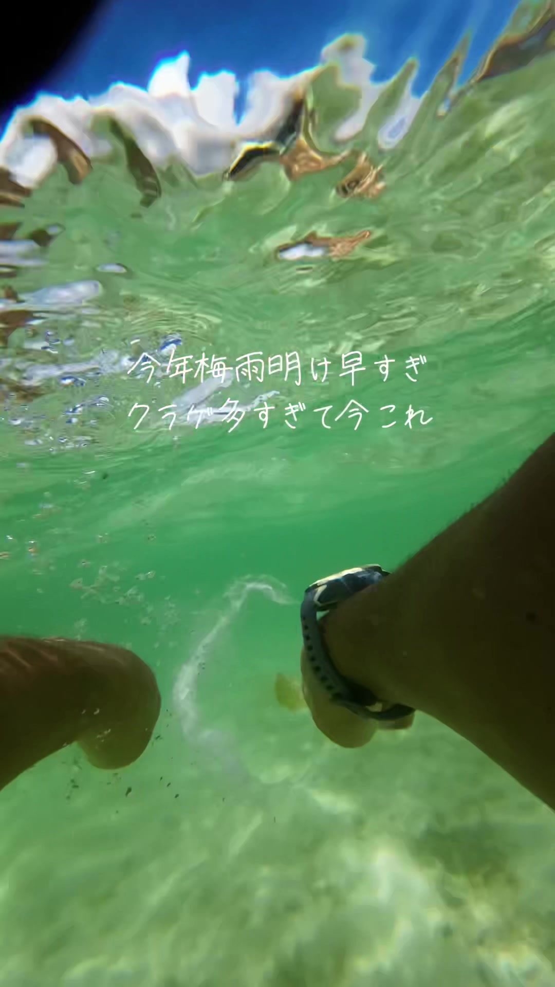 @えら
