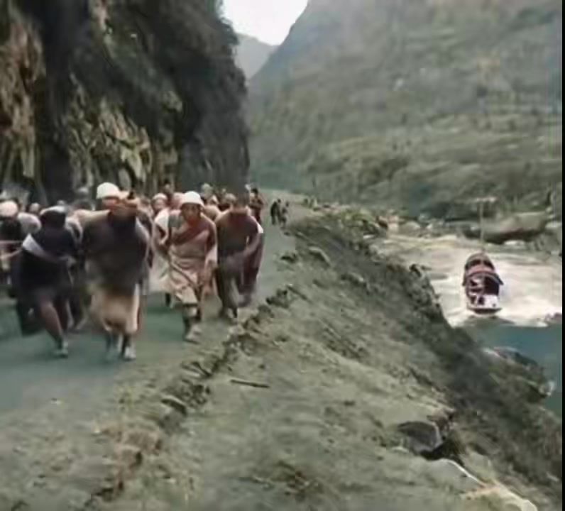 @晃晃悠悠