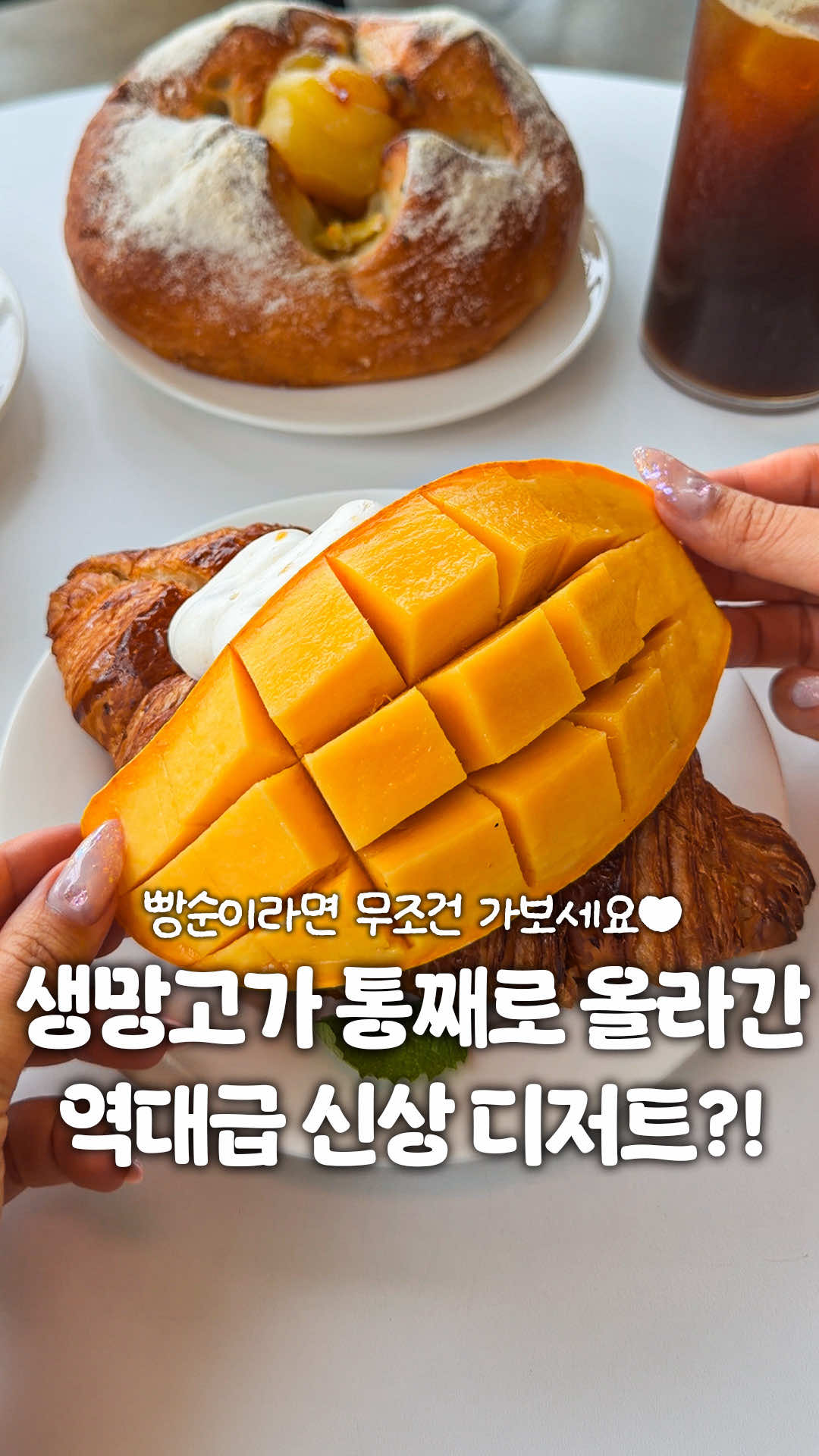 @일산갈고양
