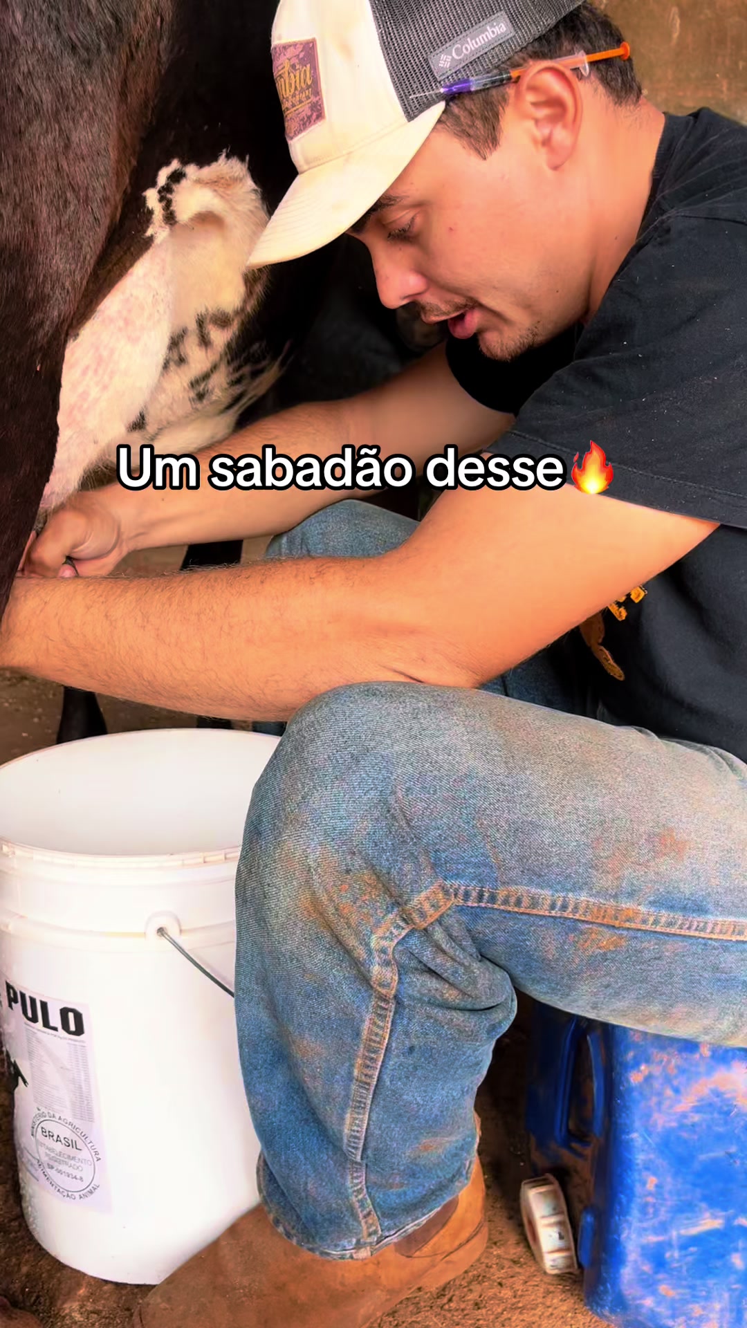 @Bia Mulato