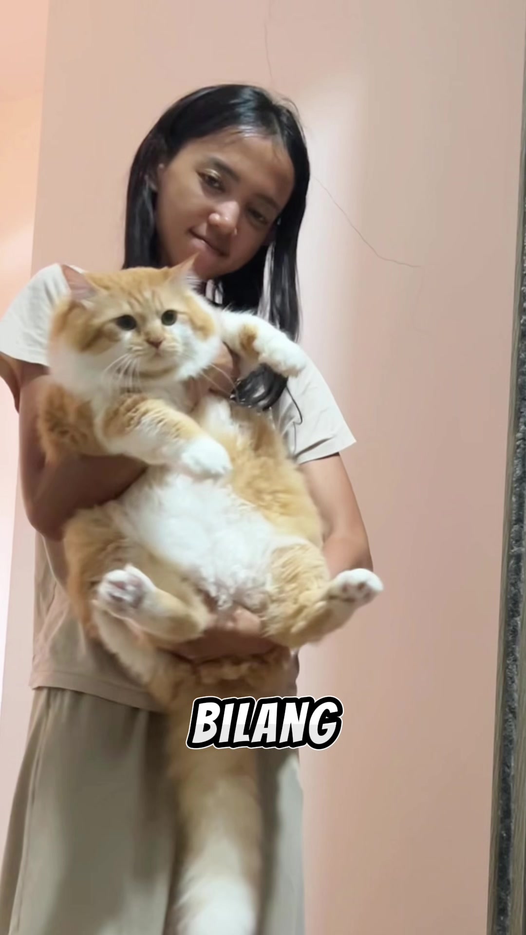 @nekokeikochan