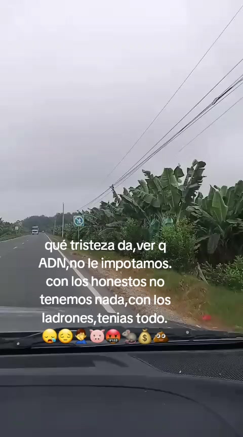 @Pedro Miguel
