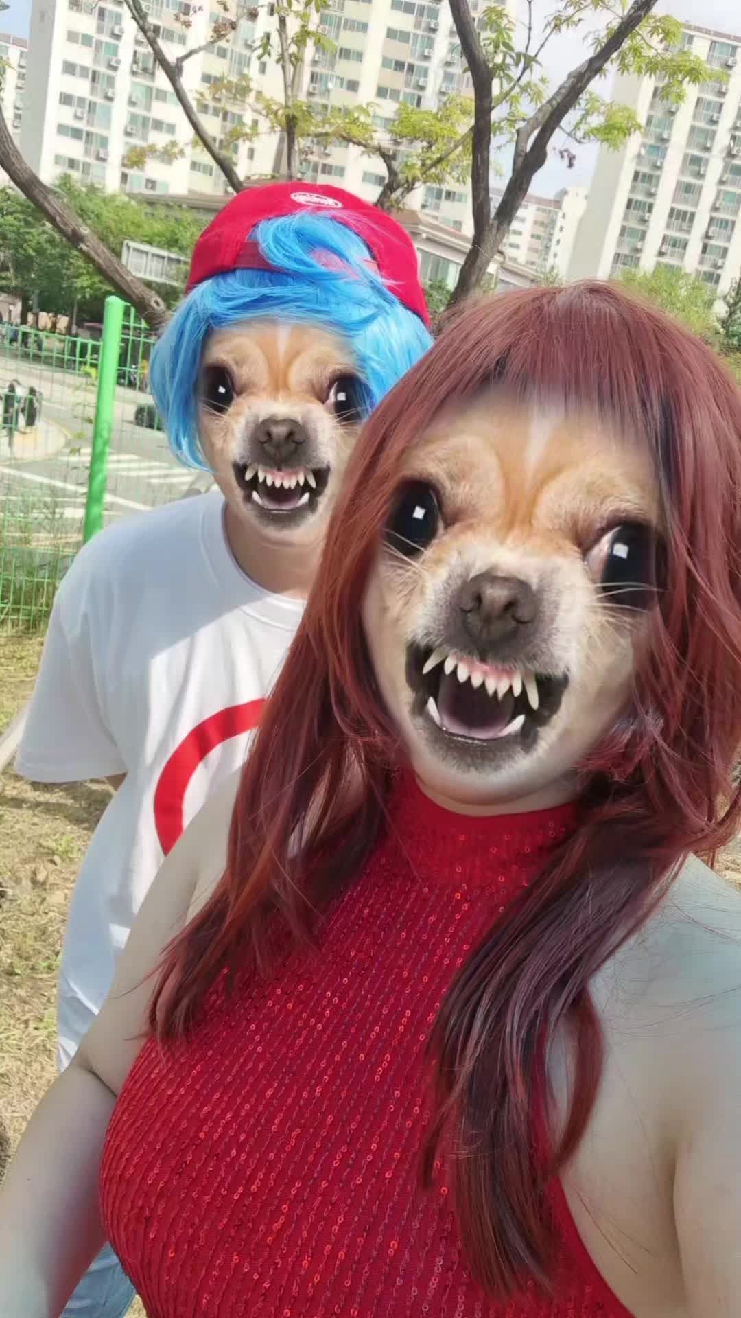 @김동행동이