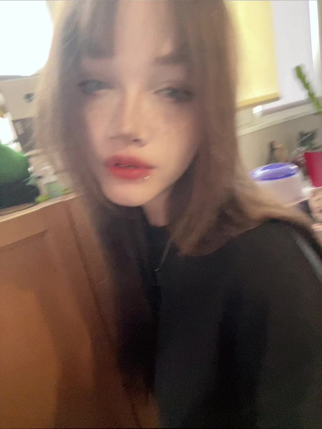 @лацертида