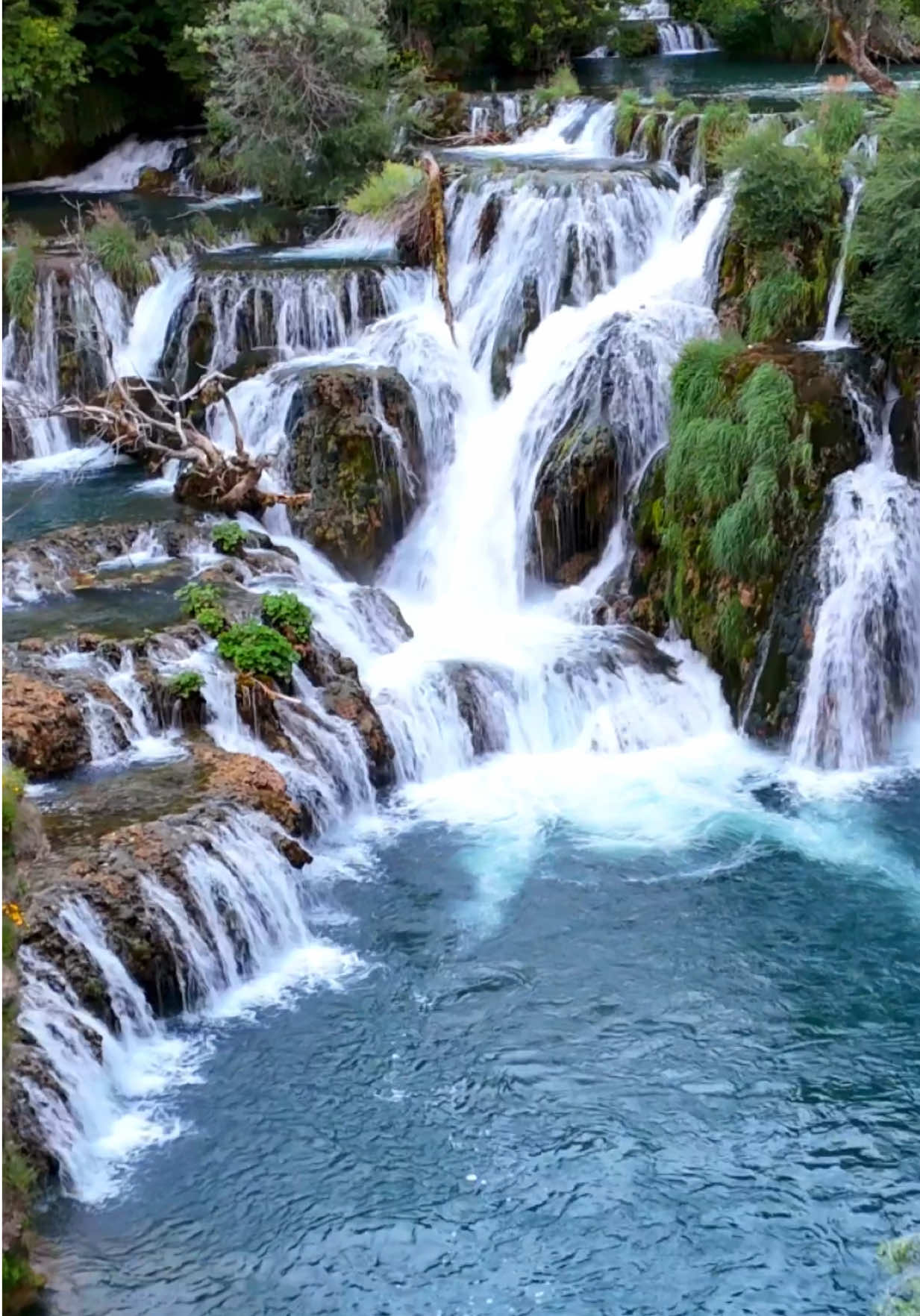 @بدر الخثعمي ( رحال ✈️ )