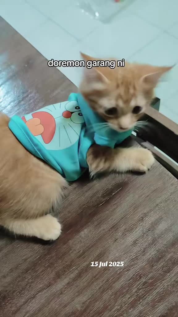 @Omma Kucing 🇲🇾🍉