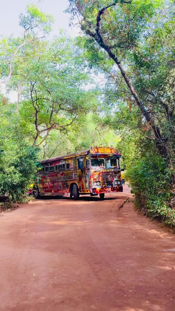 @Janidu_Dinuwara 🤍🙂↔️