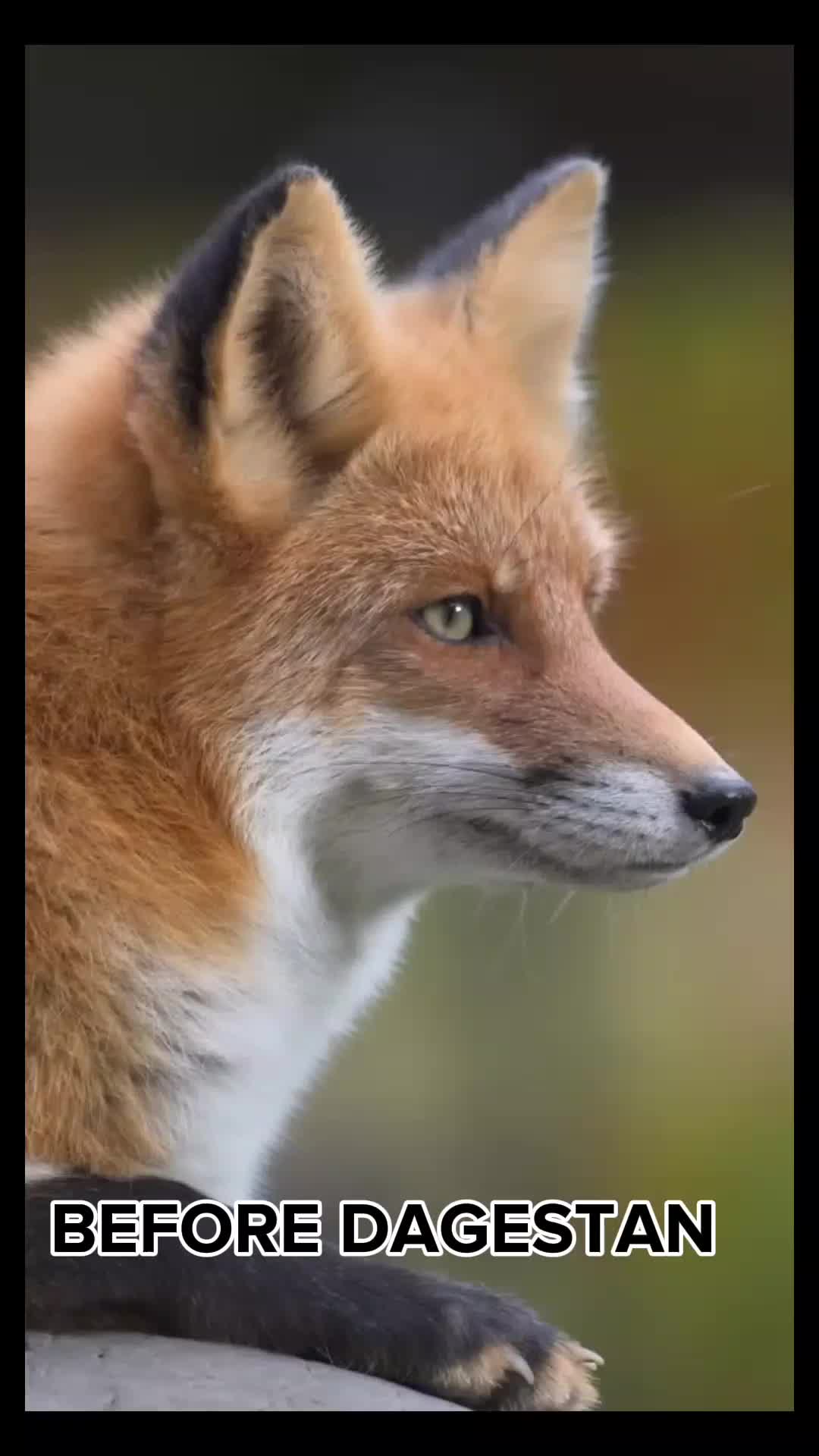 @KaChow