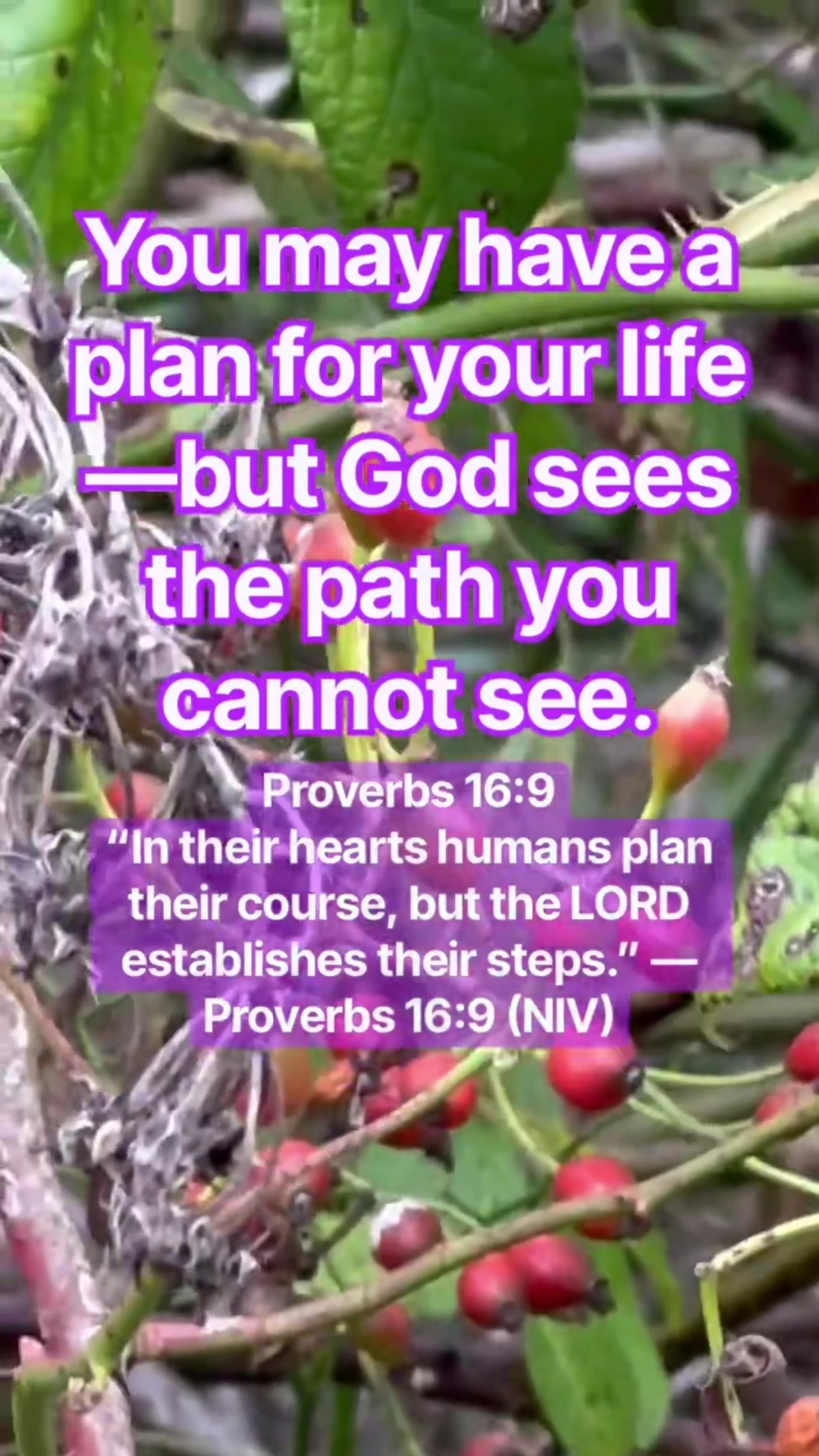 @God’s Word Today