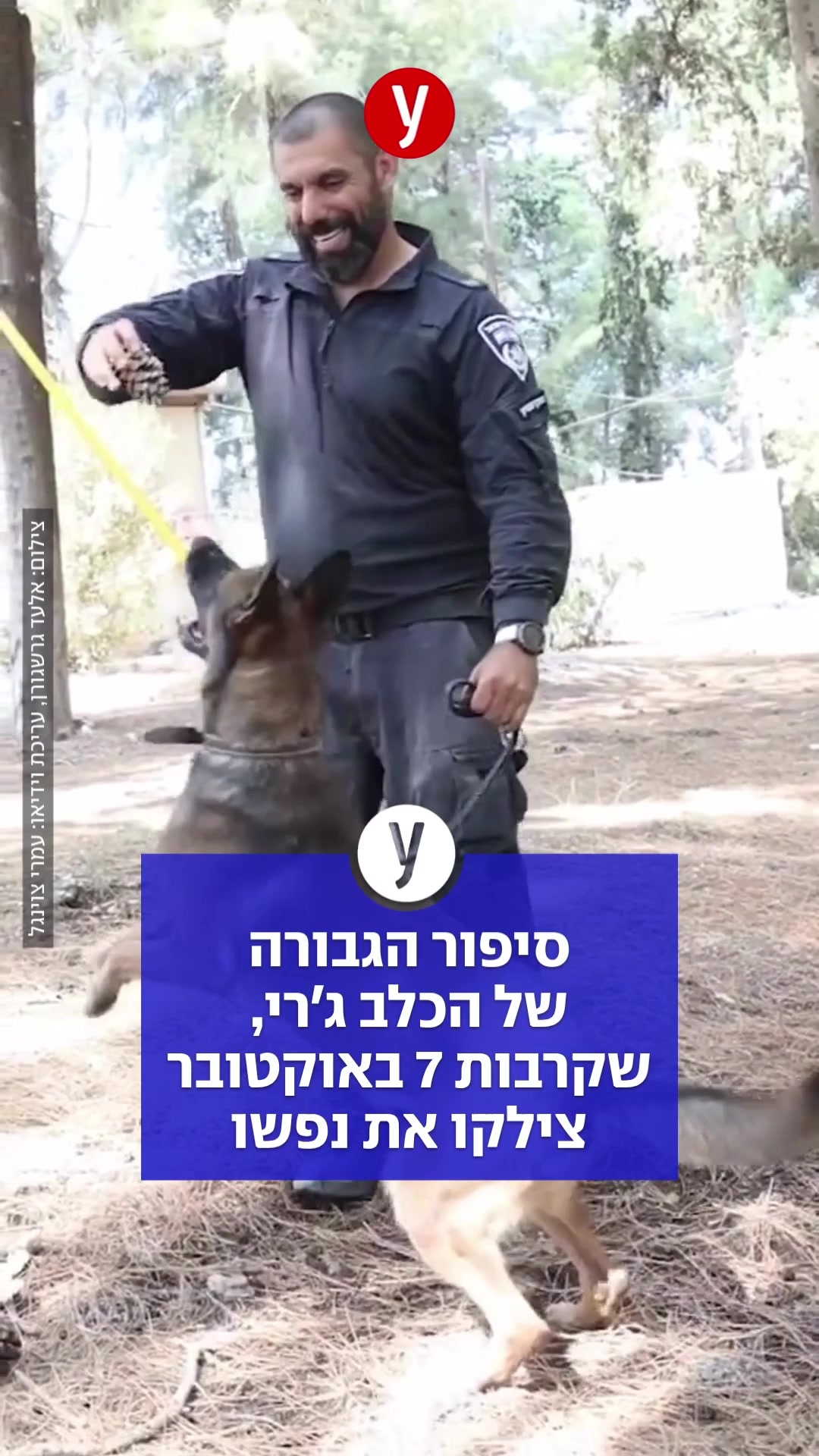 @ynet