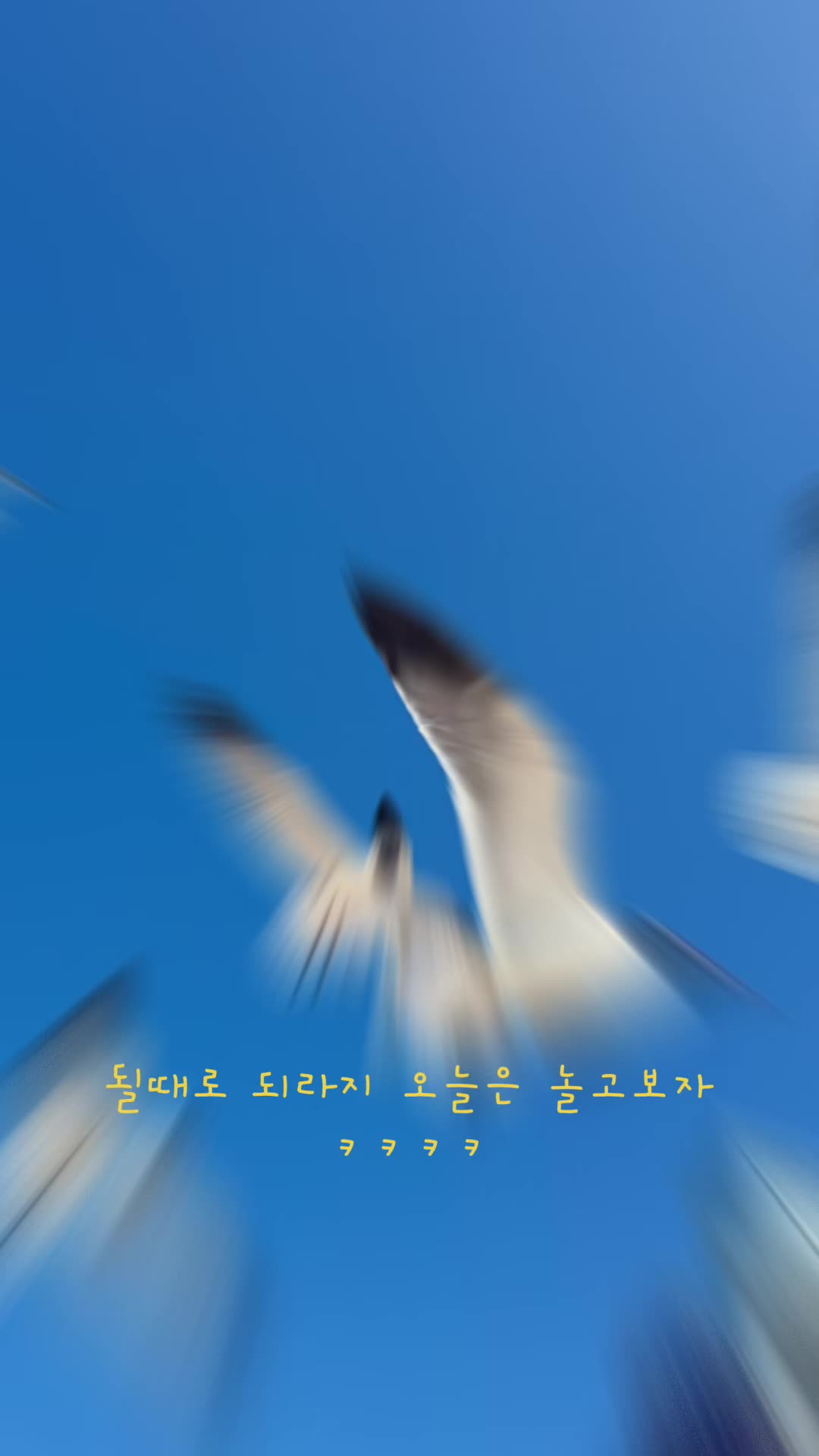 @소콩연찌