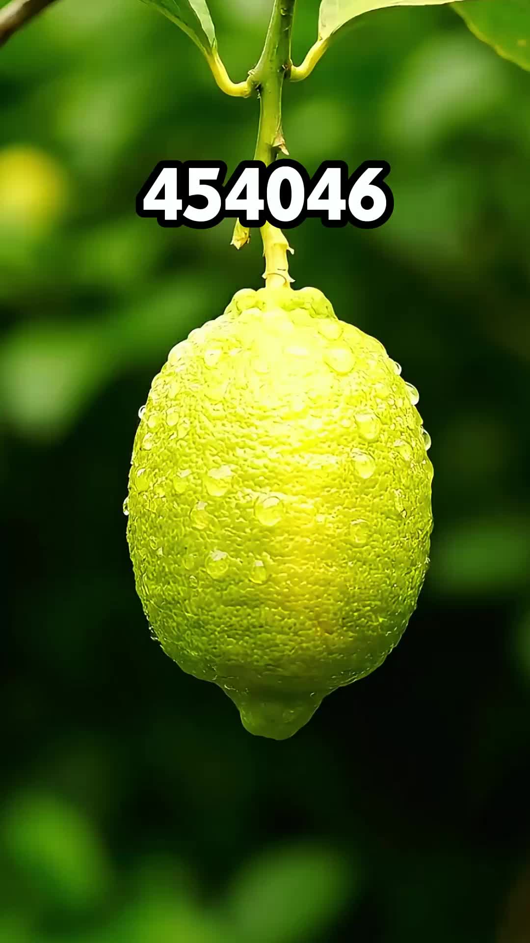 @user1882121971527
