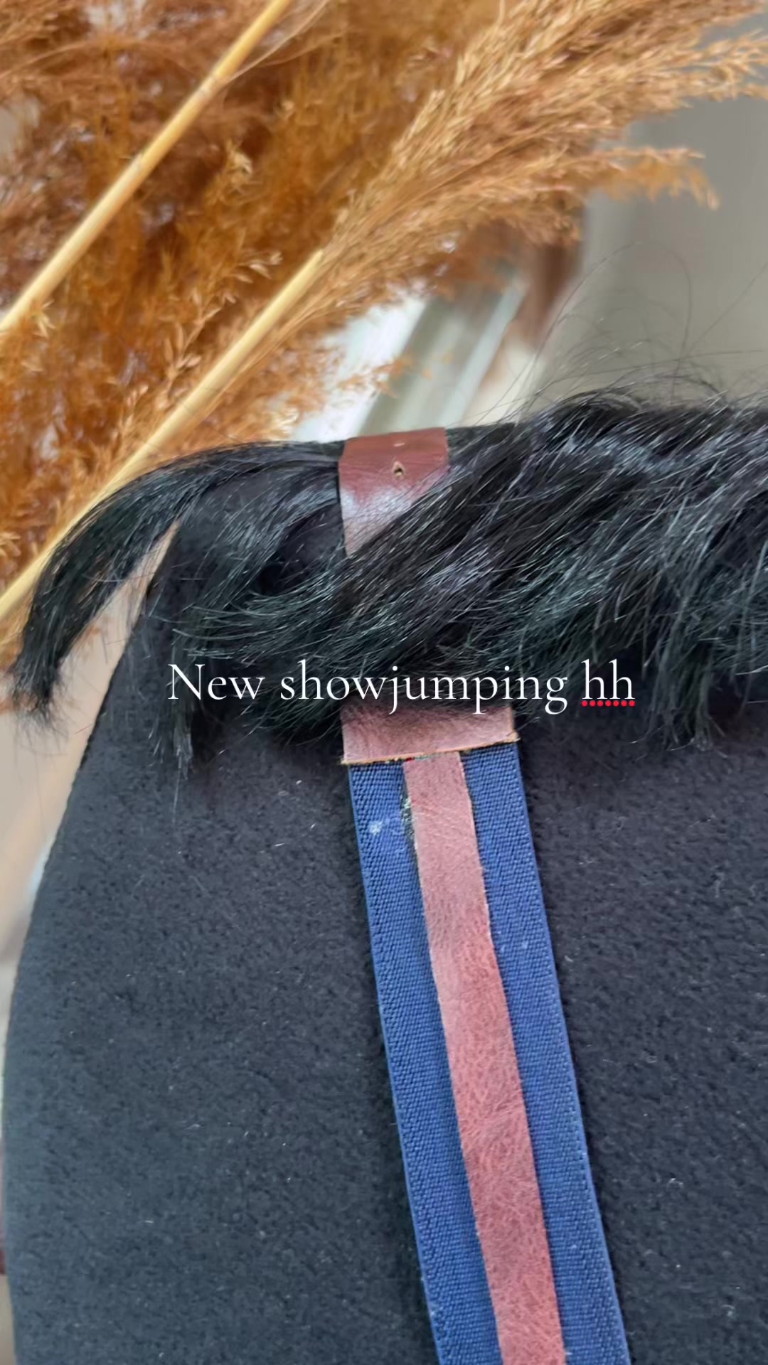@zhobbyhorse