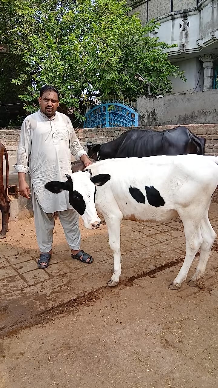@Farming and Business Ideas