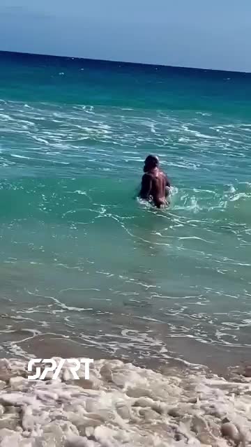 @alejadroxpartasparta26
