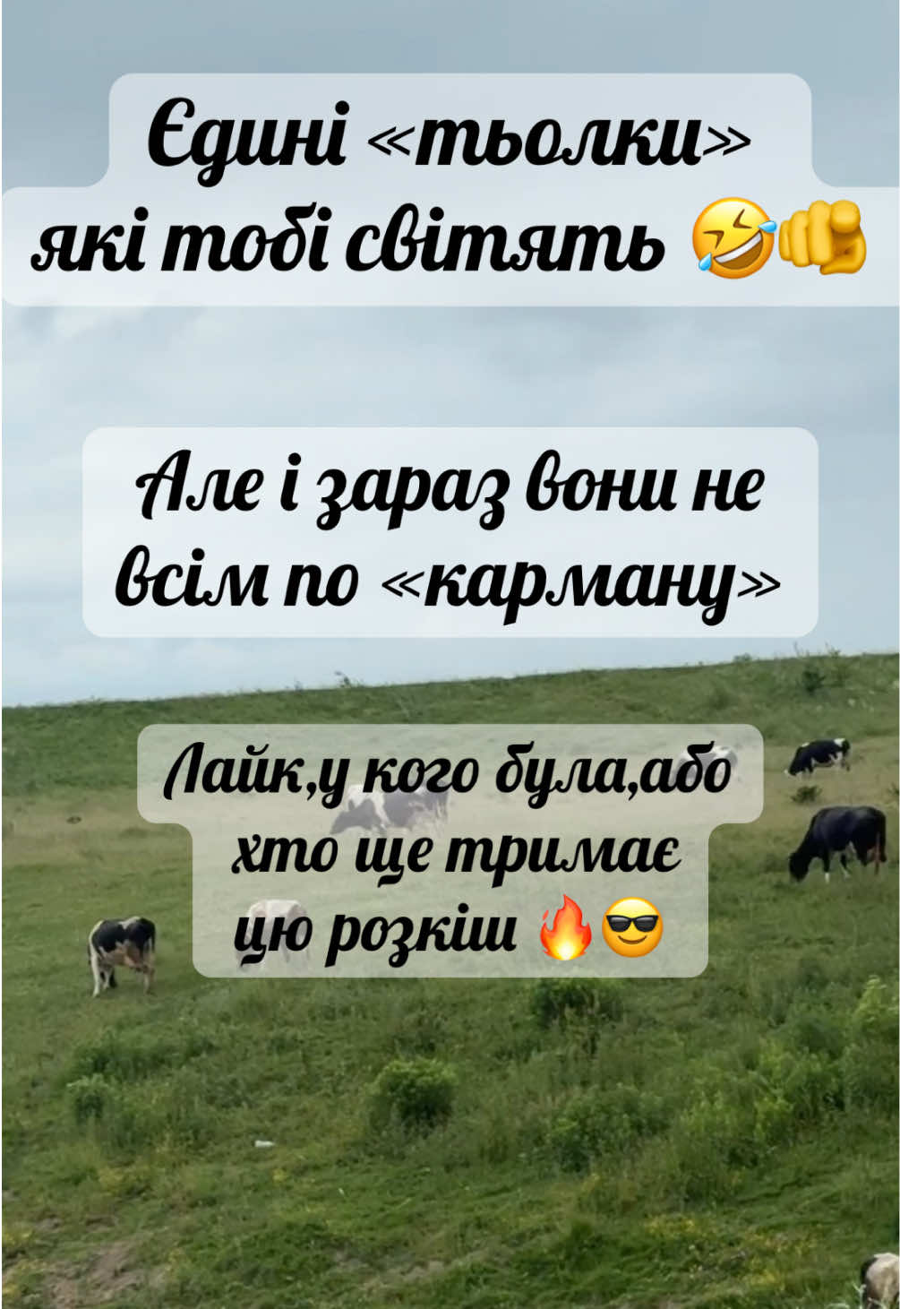 @100% натуральний сир